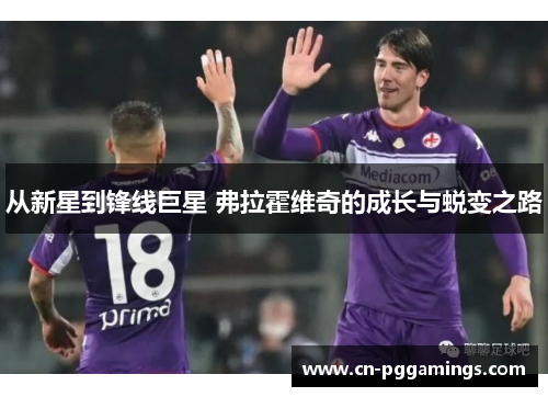 从新星到锋线巨星 弗拉霍维奇的成长与蜕变之路