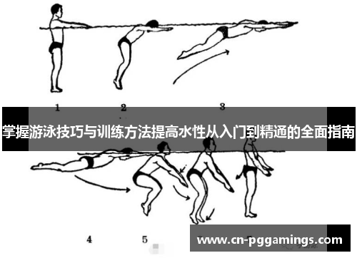 掌握游泳技巧与训练方法提高水性从入门到精通的全面指南
