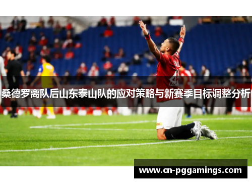桑德罗离队后山东泰山队的应对策略与新赛季目标调整分析