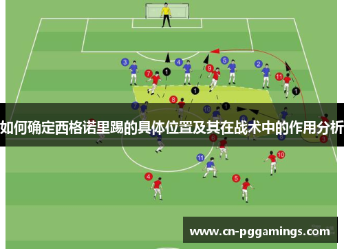 如何确定西格诺里踢的具体位置及其在战术中的作用分析