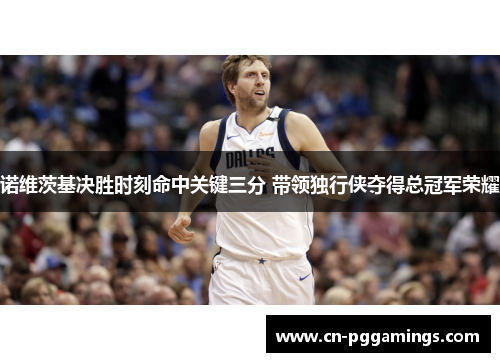 诺维茨基决胜时刻命中关键三分 带领独行侠夺得总冠军荣耀