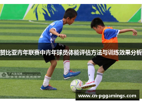 赞比亚青年联赛中青年球员体能评估方法与训练效果分析