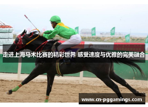 走进上海马术比赛的精彩世界 感受速度与优雅的完美融合