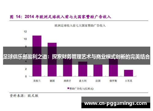足球俱乐部盈利之道:探索财务管理艺术与商业模式创新的完美结合 足球俱乐部盈利之道:探索财务管理艺术与商业模式创新的完美结合