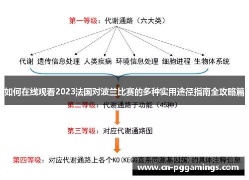 如何在线观看2023法国对波兰比赛的多种实用途径指南全攻略篇 如何在线观看2023法国对波兰比赛的多种实用途径指南全攻略篇