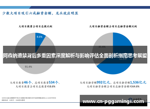 阿森纳遭禁背后多重因素深度解析与影响评估全面剖析指南思考展望