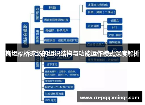 斯坦福桥球场的组织结构与功能运作模式深度解析