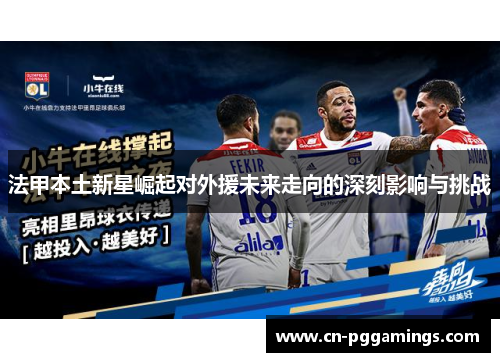 法甲本土新星崛起对外援未来走向的深刻影响与挑战