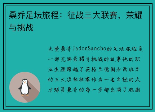 桑乔足坛旅程：征战三大联赛，荣耀与挑战