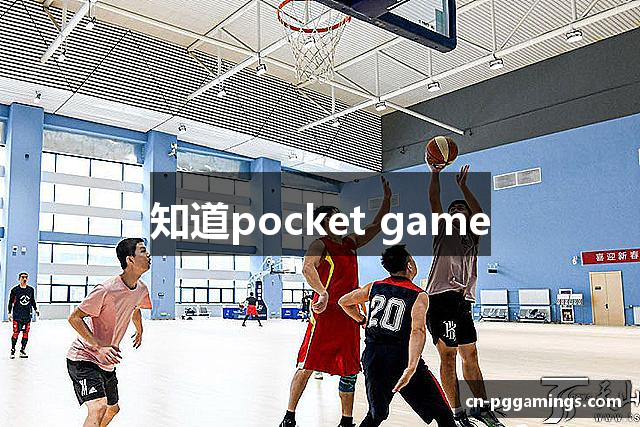 知道pocket game